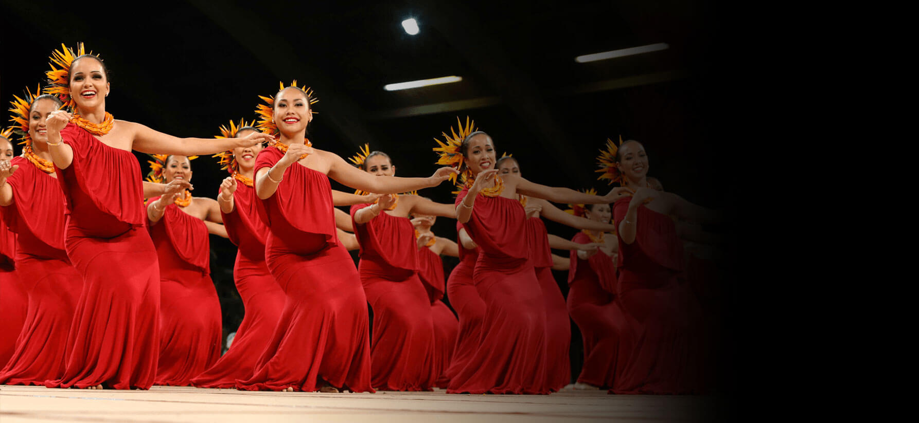 Hawaiian Dance Performance