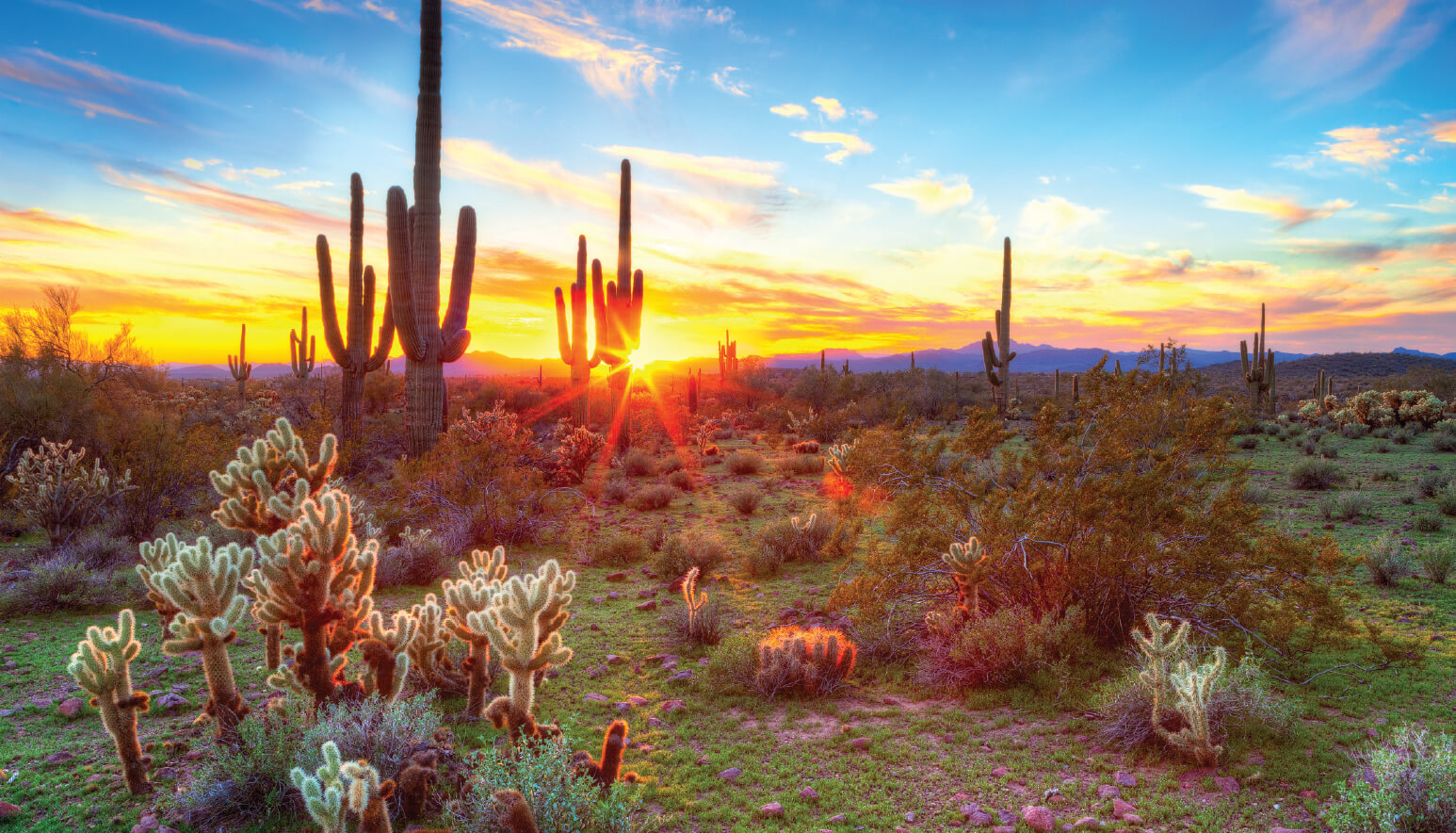 Scottsdale