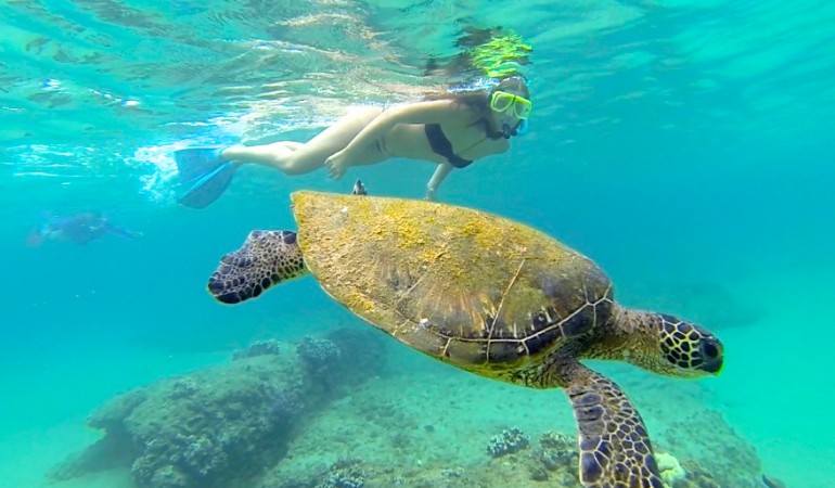 best-vacation-spots-warm-weather-vacations-maui-vi-770x425