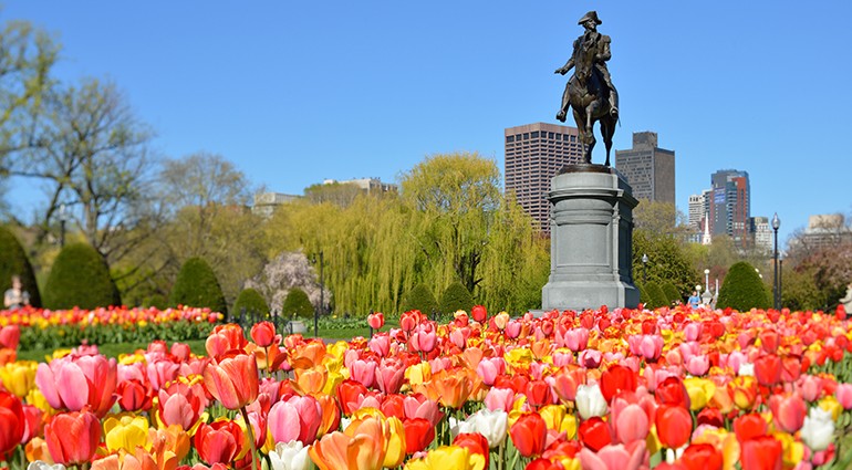 summer-vacation-spots-family-vacations-boston-ss137360501-vi-770x425