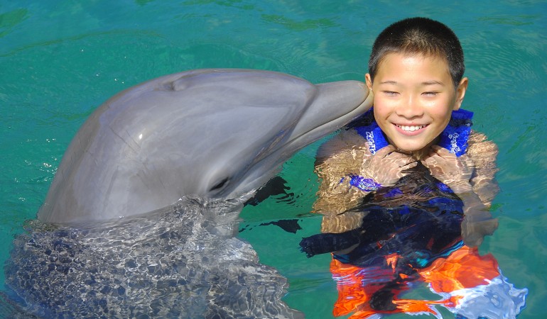 Dolphin_kiss