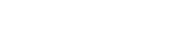 Westin Flex Logo