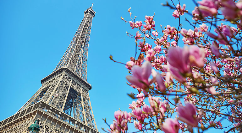 View if the Eiffel Tower in Paris