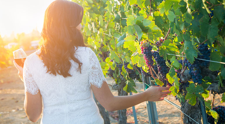 Walking through vineyards