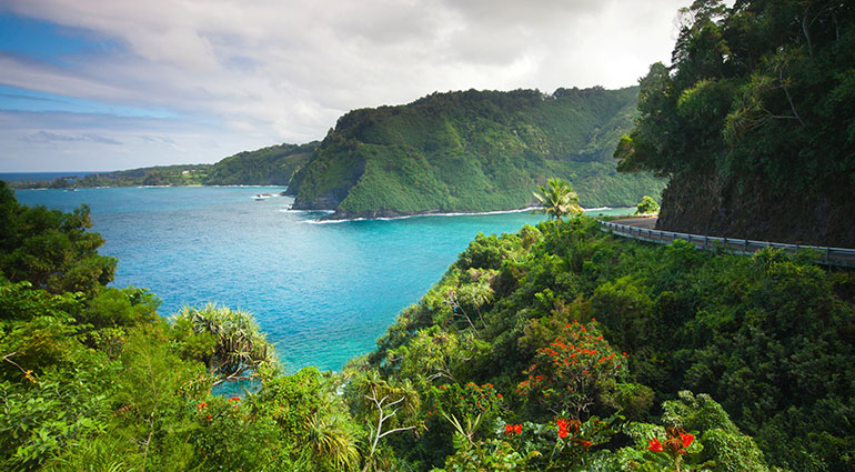 Beautiful views along the road to Hana