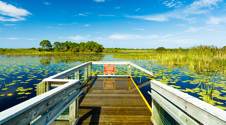 Port St. Lucie nature preserve