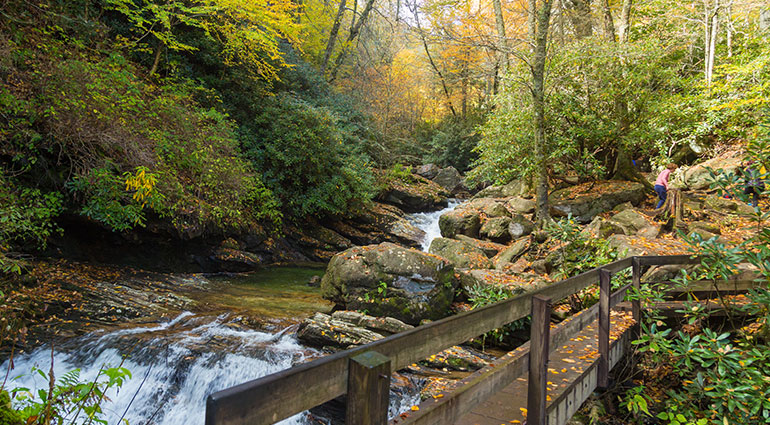 Walking trail near river in Asheville, NC