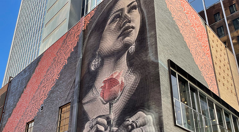 Phoenix, AZ - Salt River mural